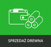 Sprzedaż