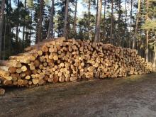 Nowy cennik sprzedaży detalicznej drewna
