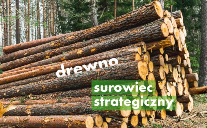 Grafika&#x2e;&#x20;Na&#x20;zdjęcie&#x20;stosu&#x20;drewna&#x20;nałożon&#x20;napis&#x3a;&#x20;&#x22;drewno&#x20;surowiec&#x20;strategiczny&#x22;&#x2e;