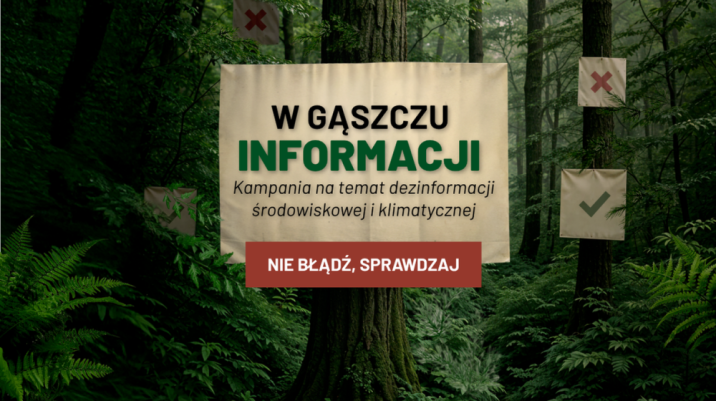 Grafika&#x20;Kampanii&#x3a;&#x20;&#x22;W&#x20;gąszczu&#x20;informacji&#x22;&#x2e;